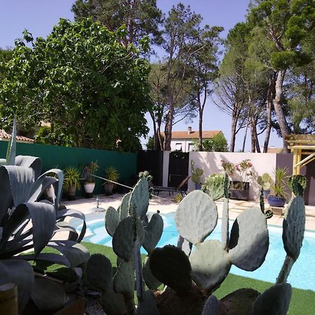 Majopau Apartment Boujan-sur-Libron Екстериор снимка