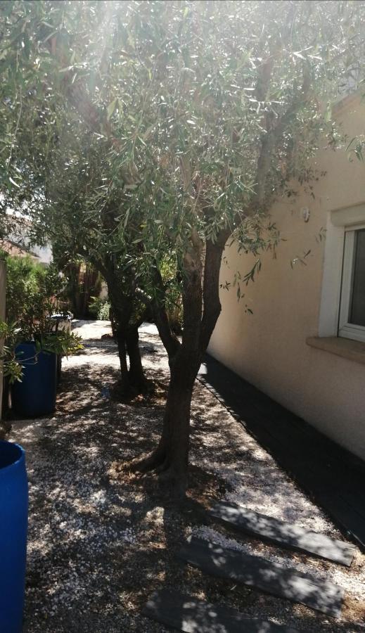 Majopau Apartment Boujan-sur-Libron Екстериор снимка